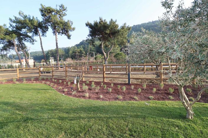 Image No.24-9 Bed House/Villa for sale