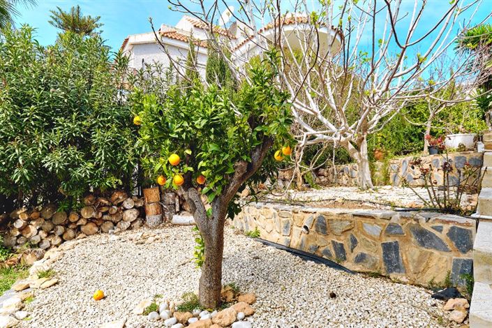 Image No.42-Villa de 4 chambres à vendre à Cabo Roig