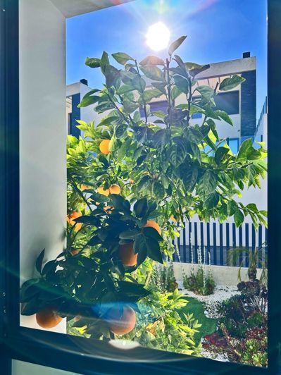 Image No.43-Villa de 3 chambres à vendre à Ciudad Quesada