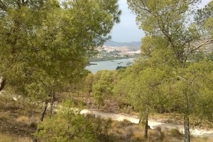 Image No.26-Maison de ville de 4 chambres à vendre à Condado de Alhama