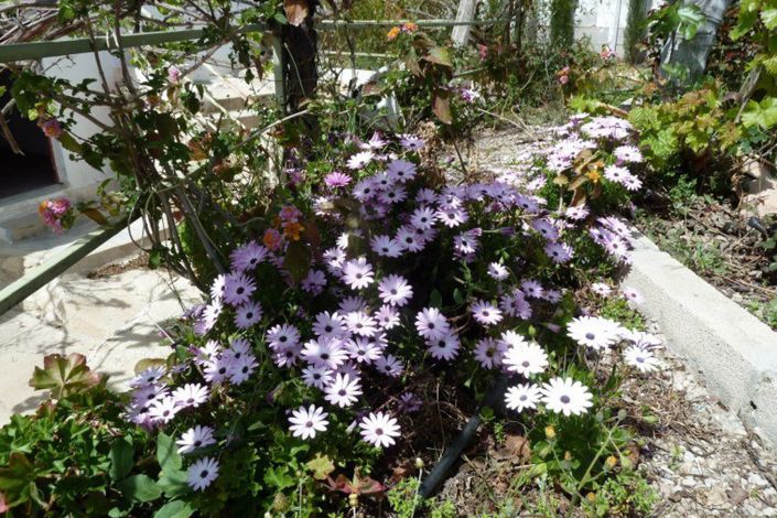 Image No.27-Maison de ville de 4 chambres à vendre à Condado de Alhama