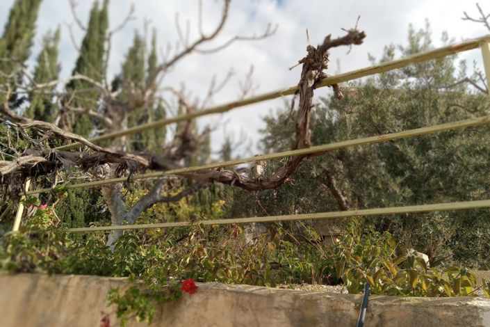 Image No.29-Maison de ville de 4 chambres à vendre à Condado de Alhama