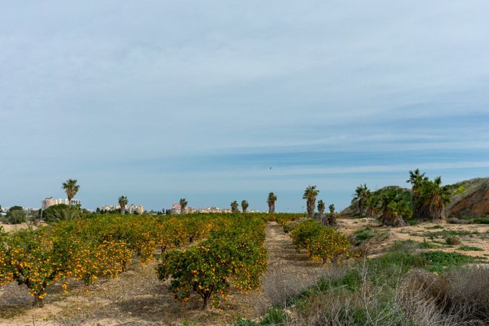 Image No.43-Villa de 2 chambres à vendre à Los Altos