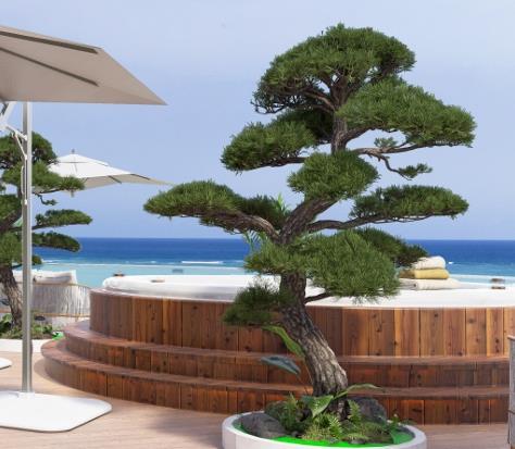 Image No.35-Appartement de 1 chambre à vendre à 