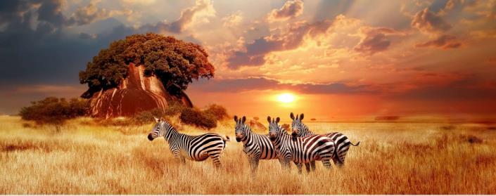 Image No.18-1 Bed Apartment for sale