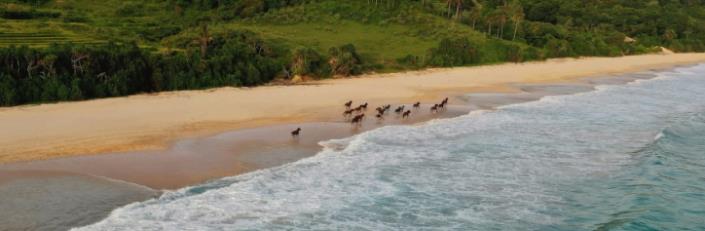 Image No.48-1 Bed Villa / Detached for sale