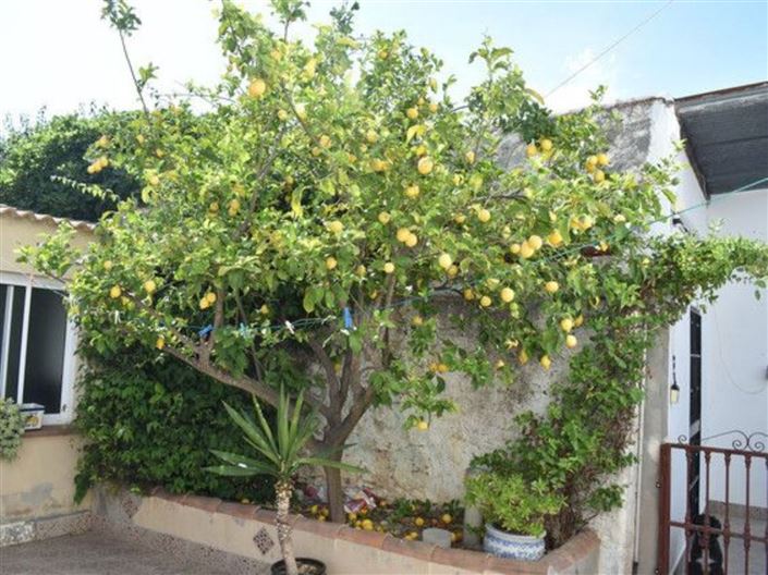 Image No.22-Maison de campagne de 4 chambres à vendre à El Burgo