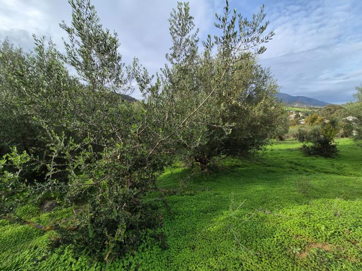 Image No.18-Maison de campagne à vendre à Tolox