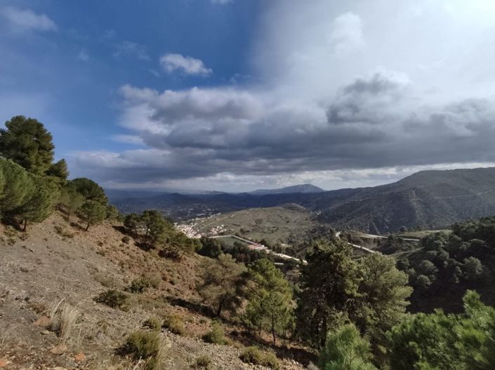 Image No.19-Maison de campagne de 1 chambre à vendre à Tolox