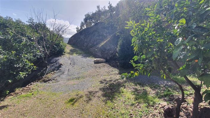 Image No.12-Terre à vendre à Monda