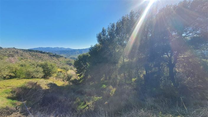 Image No.10-Land for sale