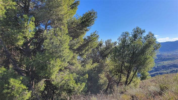 Image No.2-Land for sale