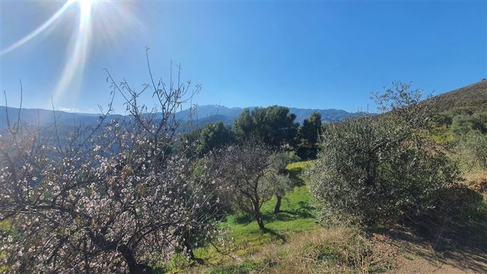 Image No.3-Land for sale