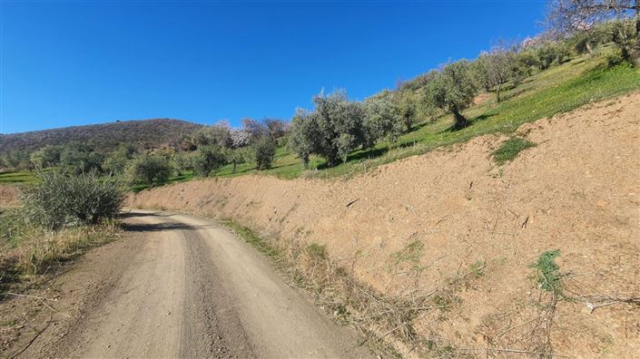 Image No.4-Land for sale