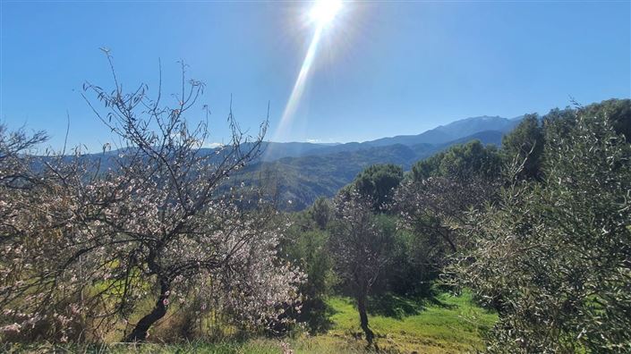 Image No.5-Land for sale