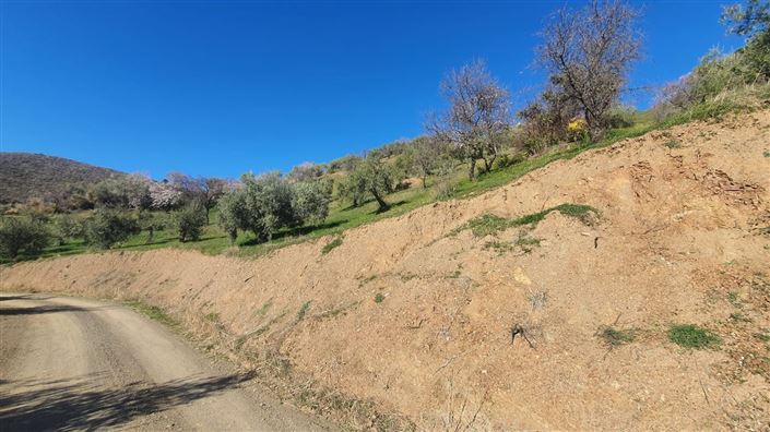 Image No.7-Land for sale