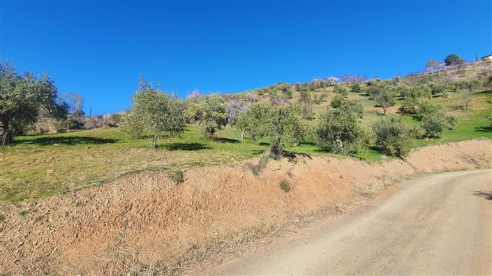 Image No.8-Land for sale