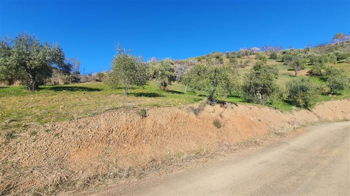 Image No.9-Land for sale