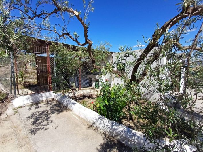 Image No.24-Maison de campagne de 3 chambres à vendre à Alozaina