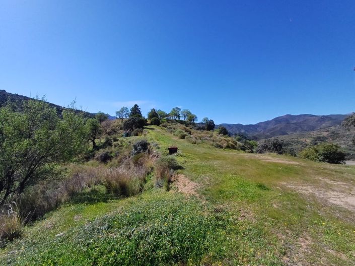 Image No.10-Terre à vendre à Monda