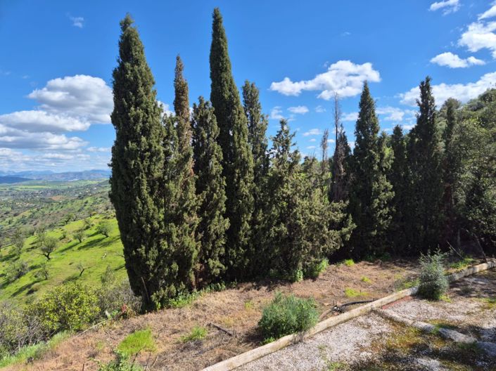 Image No.19-Maison de campagne de 3 chambres à vendre à Guaro