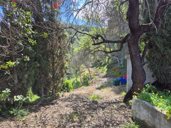 Image No.27-Maison de campagne de 3 chambres à vendre à Guaro
