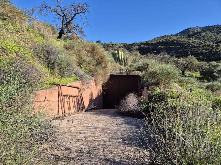 Image No.16-Maison de campagne de 1 chambre à vendre à Guaro