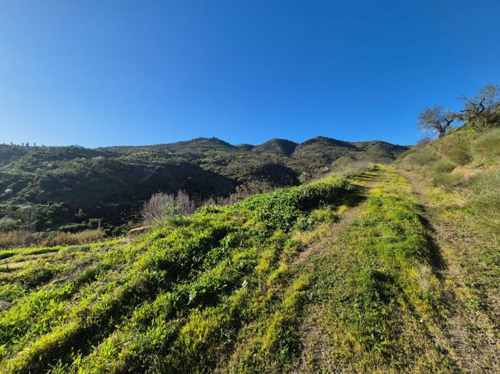 Image No.19-Maison de campagne de 1 chambre à vendre à Guaro