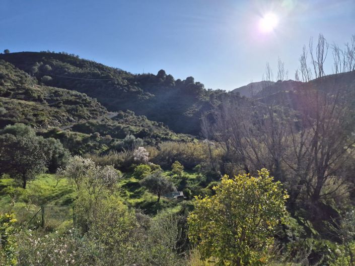 Image No.3-Maison de campagne de 1 chambre à vendre à Guaro