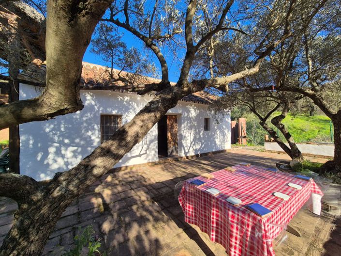 Image No.4-Maison de campagne de 1 chambre à vendre à Guaro