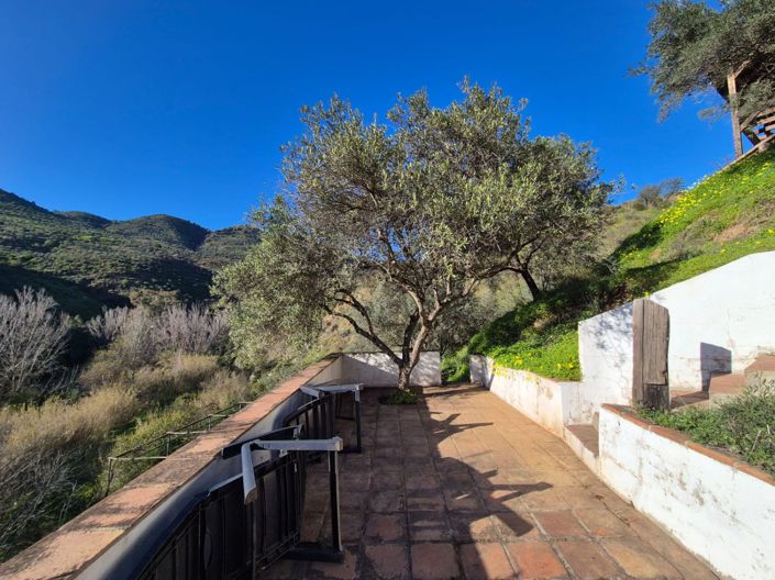 Image No.7-Maison de campagne de 1 chambre à vendre à Guaro