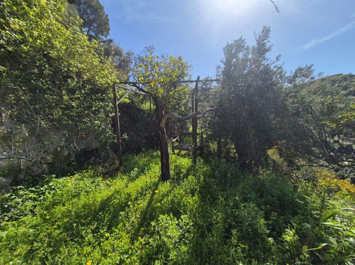 Image No.18-Maison de campagne de 1 chambre à vendre à Alozaina
