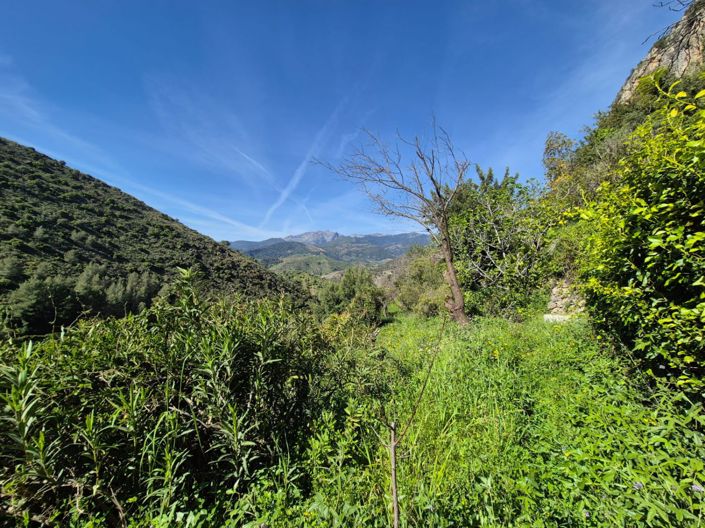 Image No.2-Maison de campagne de 1 chambre à vendre à Alozaina