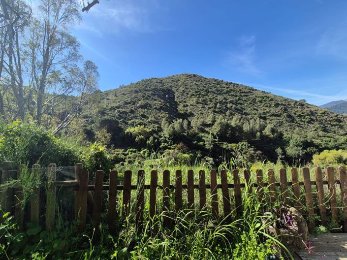 Image No.22-Maison de campagne de 1 chambre à vendre à Alozaina