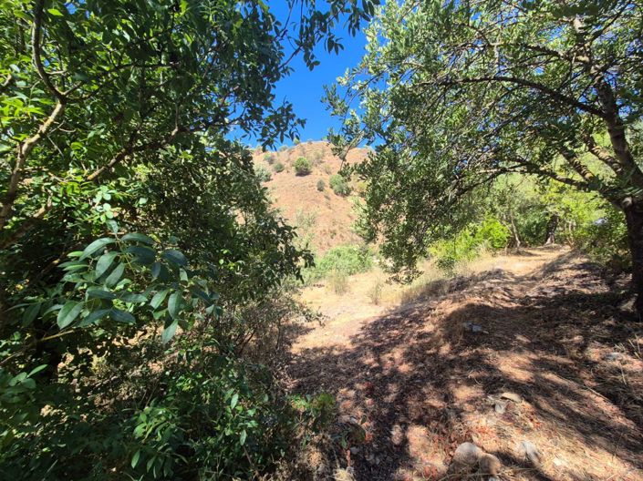 Image No.12-Maison de campagne de 2 chambres à vendre à Guaro