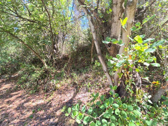 Image No.14-Maison de campagne de 2 chambres à vendre à Guaro