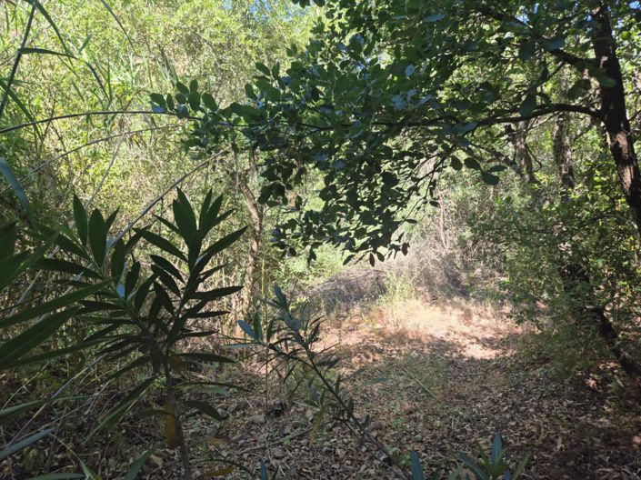 Image No.15-Maison de campagne de 2 chambres à vendre à Guaro