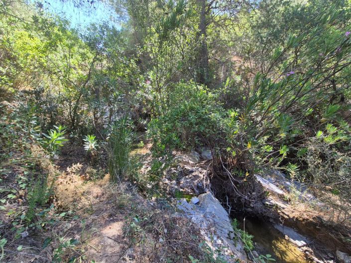 Image No.16-Maison de campagne de 2 chambres à vendre à Guaro