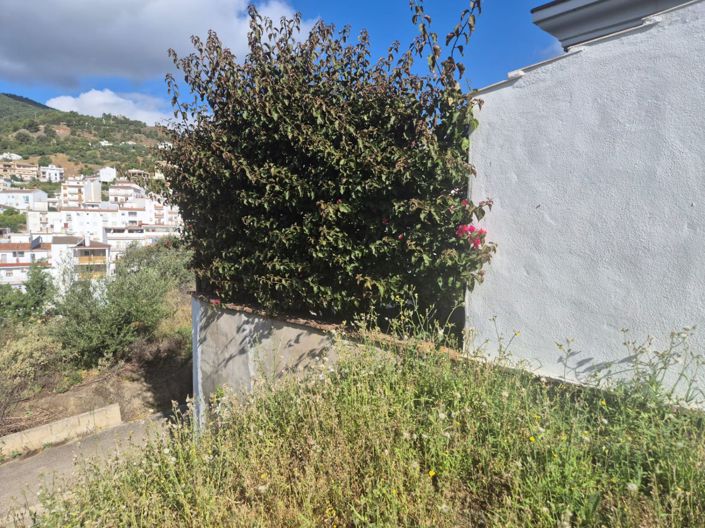 Image No.2-Terre à vendre à Tolox