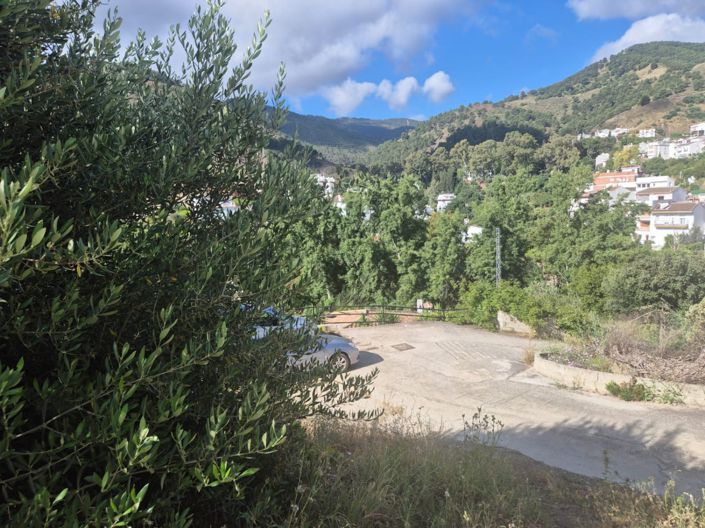 Image No.4-Terre à vendre à Tolox