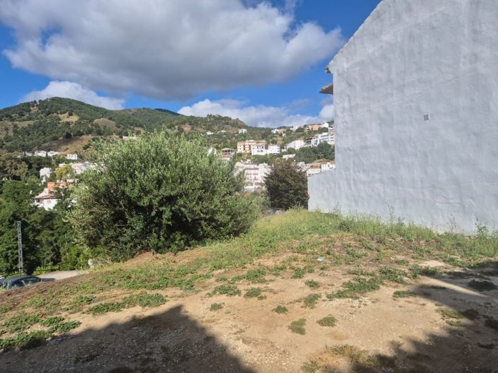 Image No.5-Terre à vendre à Tolox