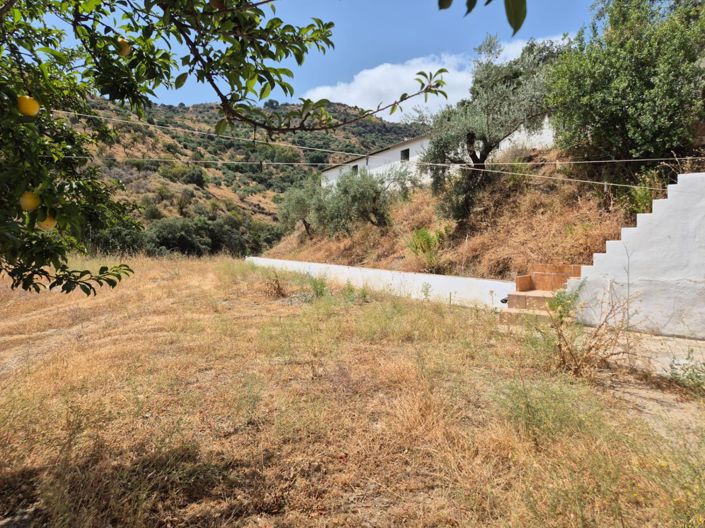 Image No.18-Maison de campagne de 3 chambres à vendre à Guaro