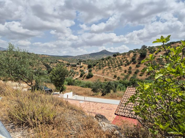 Image No.24-Maison de campagne de 3 chambres à vendre à Guaro