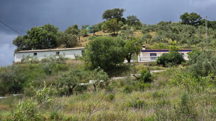 Image No.29-Maison de campagne de 3 chambres à vendre à Guaro
