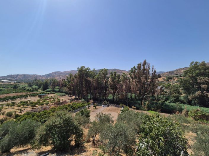 Image No.26-Maison de campagne de 5 chambres à vendre à Guaro