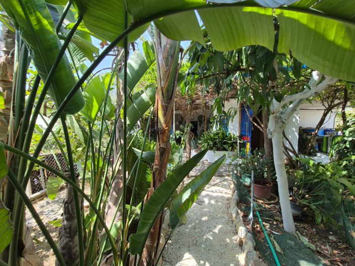 Image No.27-Maison de campagne de 5 chambres à vendre à Guaro