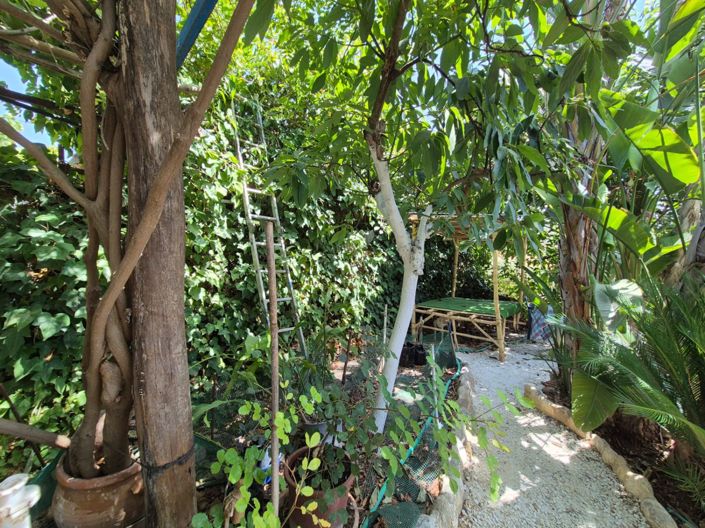 Image No.28-Maison de campagne de 5 chambres à vendre à Guaro