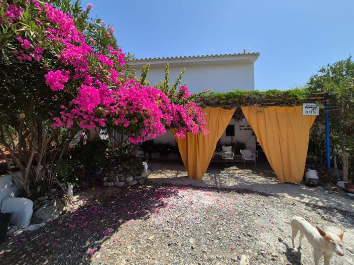 Image No.4-Maison de campagne de 5 chambres à vendre à Guaro