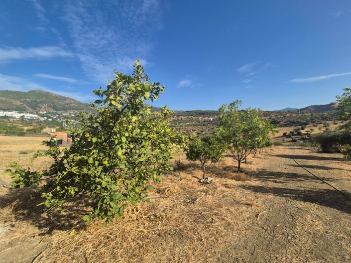 Image No.2-Terre à vendre à Casarabonela