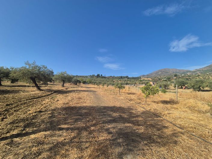 Image No.5-Terre à vendre à Casarabonela